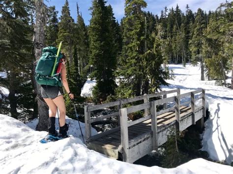 2019 Year in Review - Hiking on Vancouver Island - Mindful Explorer