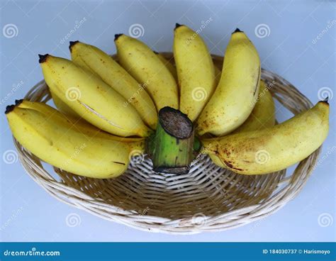 Latundan Banana. Royalty-Free Stock Image | CartoonDealer.com #49397350