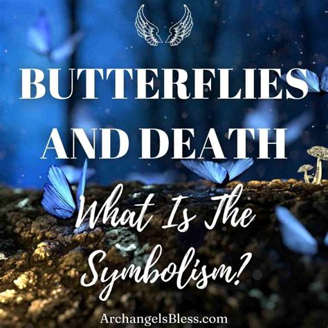 What Is The Symbolism Of Butterflies and Death?