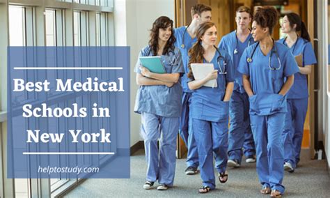 Medical School in New York Admissions, Courses and Scholarships - HelpToStudy.com