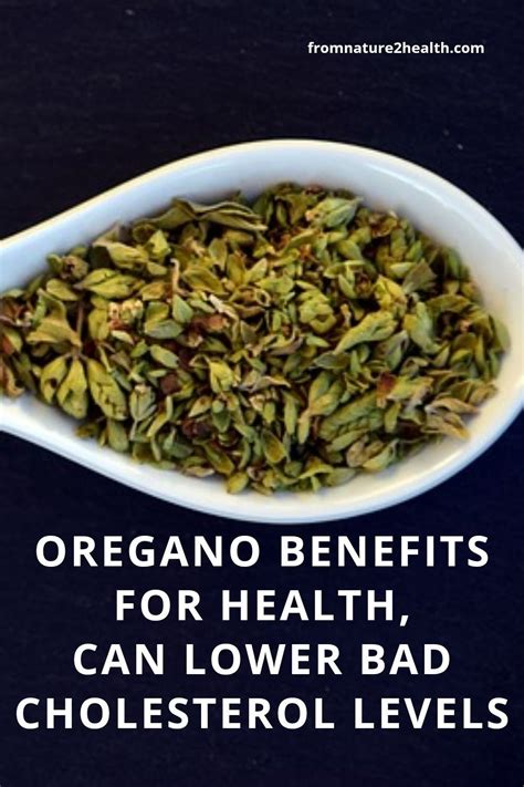 Oregano Benefits For Health, Can Lower Bad Cholesterol Levels | High ...