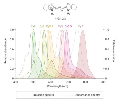 Cyanine 染料的分类、活化基团的选择和标记反应操作_生物器材网