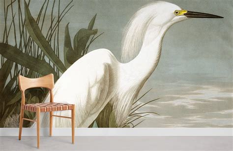 White Heron Wallpaper Mural | Bird Wallpaper Mural UK