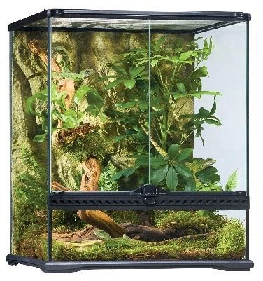 Chameleon Tanks - Aquarium Dimensions