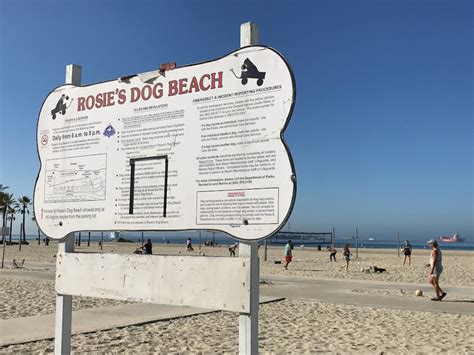 3 Awesome Dog-Friendly Beaches Near Los Angeles, California