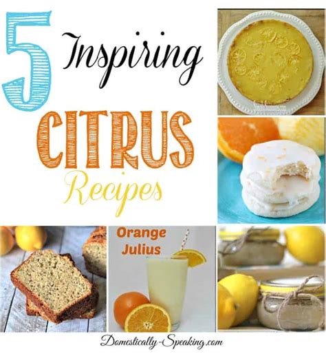 Feature Friday... 5 Inspiring Citrus Recipes - Domestically Speaking