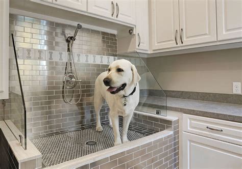 29 Sweet Dog Shower Ideas & Pet Washing Stations | Home Remodeling ...