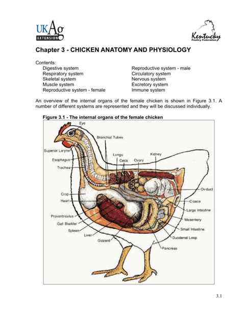 Chapter 3 - CHICKEN ANATOMY AND PHYSIOLOGY