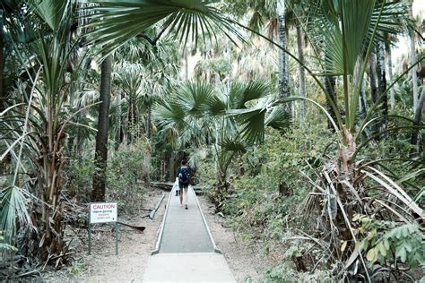 Mataranka Hot Springs Northern Territory Australia | Woody World Packer