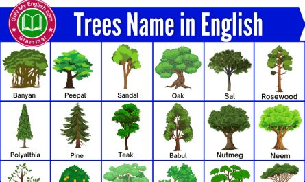 Trees Name In English, Fruits Name In English, Gender Of Animals, Fruit ...