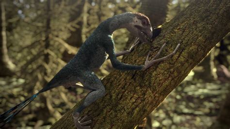 Epidexipteryx - Planet Dinosaur Wiki