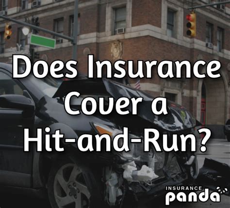 Does Car Insurance Cover a Hit-and-Run? - Insurance Panda