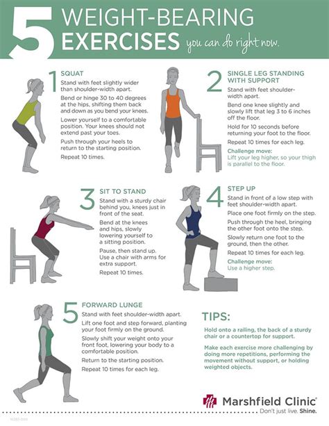 25+ bästa Weight bearing exercises idéerna på Pinterest | Crossfit kvinnor, Tyngdlyftning och ...