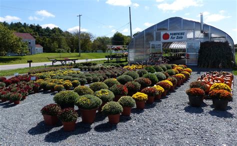 CapeBreton-NorvellHimself-SingleMalt: Amish Farm Market - small (as opposed to corporate) farms ...