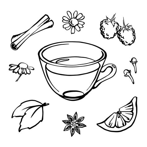 Black and white outline vector herbal tea illustration set, Tea cup and ...