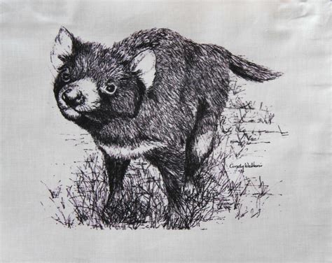 Tasmanian Devil Sketch at PaintingValley.com | Explore collection of Tasmanian Devil Sketch