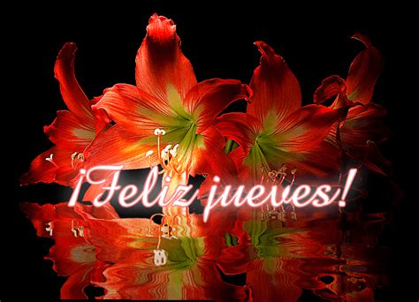 Feliz Jueves Gif Animado