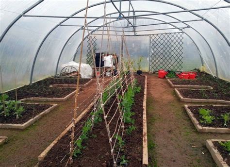 Polytunnel Layout in a Community Garden Tunnel Greenhouse, Small ...