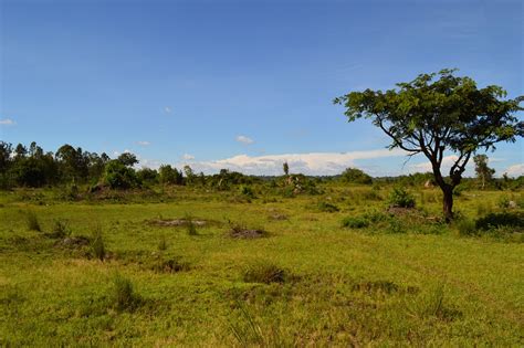 STREAM: Land policy transformation, accumulation and dispossession in rural and peri-urban ...