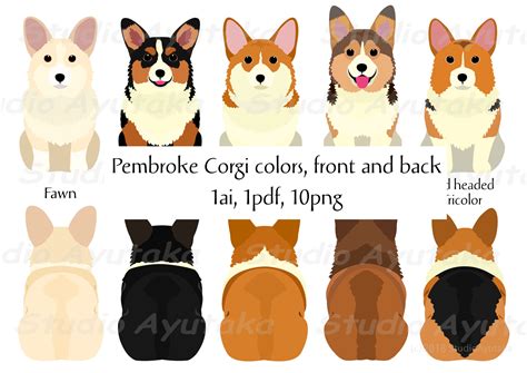 Pembroke Welsh Corgi Colors | ubicaciondepersonas.cdmx.gob.mx