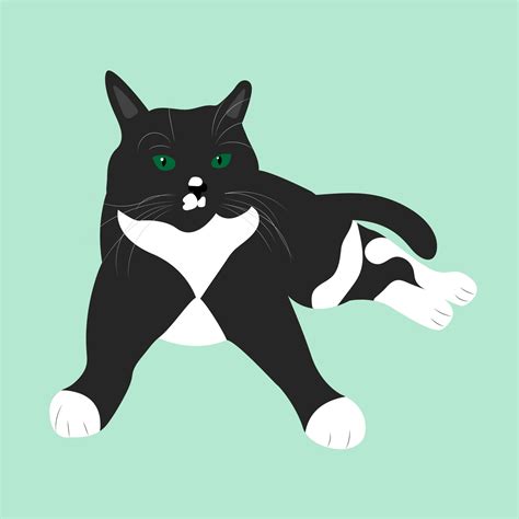 Realistic black and white cat with green eyes. 6138679 Vector Art at Vecteezy