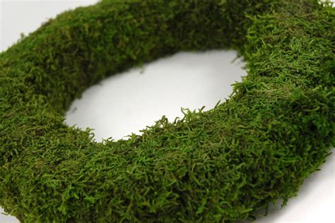 Preserved Moss 12" Wreath