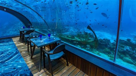 5.8 Undersea Restaurant – Maldives underwater restaurant