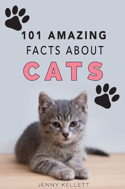 Cats: 101 Amazing Facts about Cats: Cat Books for Kids by Jenny Kellett, Paperback | Barnes & Noble®