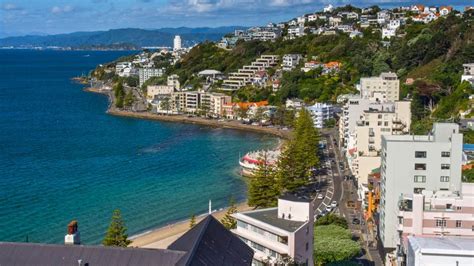 Hiking to Mount Victoria Lookout in Wellington NZ • Albom Adventures