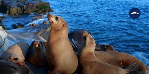 Top Galapagos Island Hopping Tours - Best Galapagos Tours