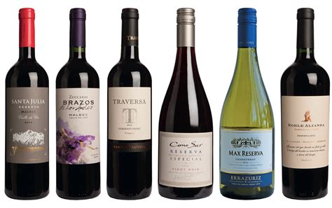 Best South American wines under £15/$20 - Decanter