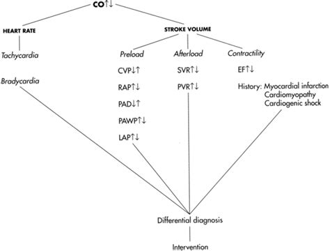 67: Cardiac Output Measurement Techniques (Invasive) | Anesthesia Key