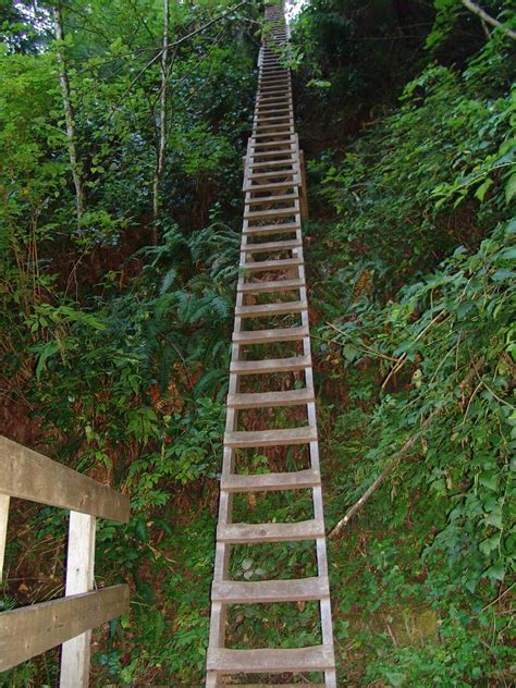 Ladder #N, West Coast Trail, Pacific Rim National Park, Va… | Flickr