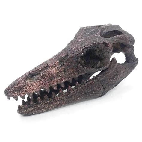 Mosasaurus Mini Skull Replica – The Science Museum of Minnesota