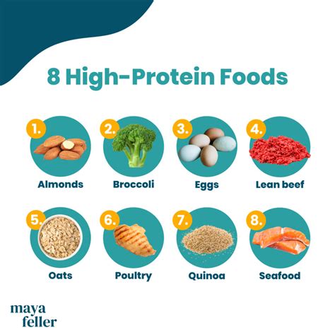 8 High Protein Foods: Benefits + Simple Meal Ideas | Maya Feller Nutrition