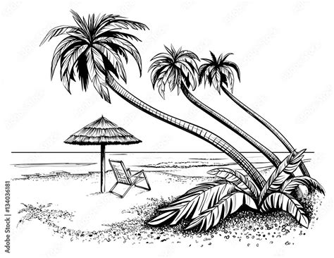 Ocean or sea beach with palms, sketch. Black and white vector illustration of island shore with ...