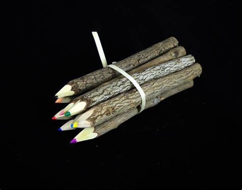 Items similar to 9ct 5" Colored Twig Pencils Tree Branch Stick natural ...