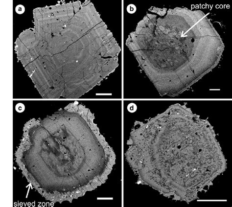 Back-scattered electron images of representative plagioclase crystals ...