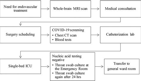 Flowchart of reperfusion therapy for acute ischaemic stroke. on May 8 ...