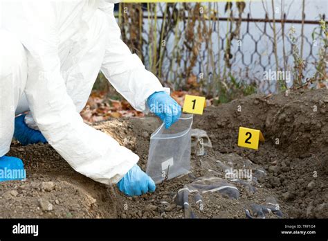 Forensic science specialist gathering evidence at a crime scene ...