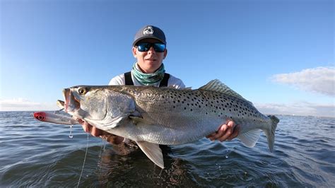 GIANT Speckled Trout- Indian River Lagoon Flats Fishing