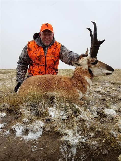 Colorado Pronghorn Hunt