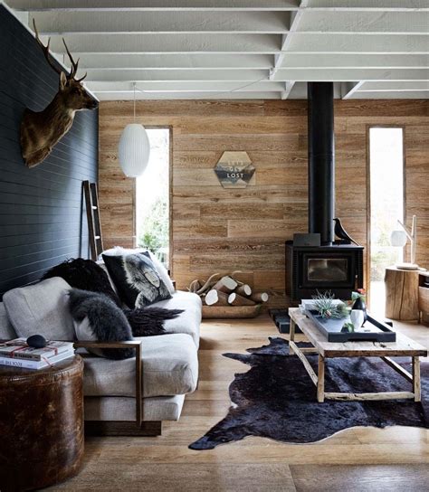 Modern Cabin Interior