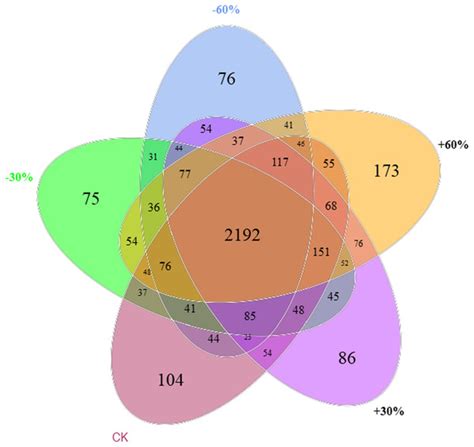 Effects of precipitation changes on soil bacterial community composition and diversity in the ...