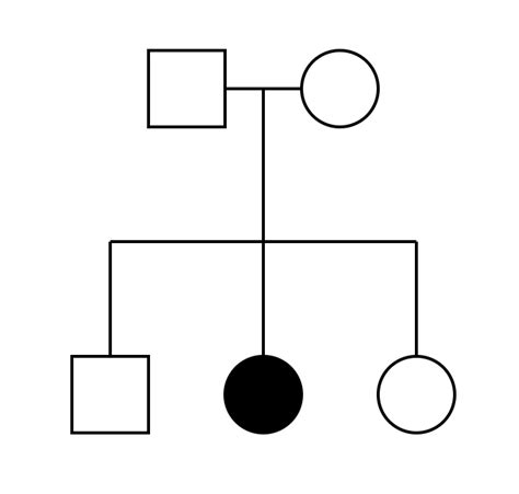 Pedigrees and Punnett Squares – Mt Hood Community College Biology 102