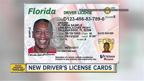 7A537 Florida Driver License Template | Wiring Resources for Florida Id ...