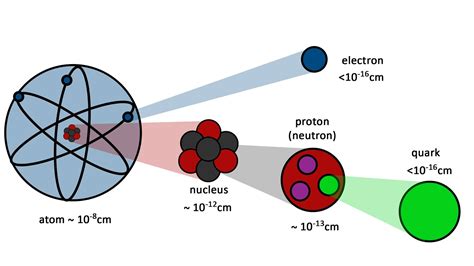 The difference between a quark and a lepton is - gulfsit