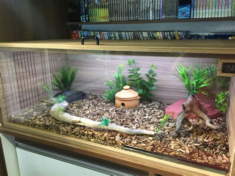 Vivarium Corn Snake Snake Enclosure, Pet Enclosure, Enclosures, Diy ...