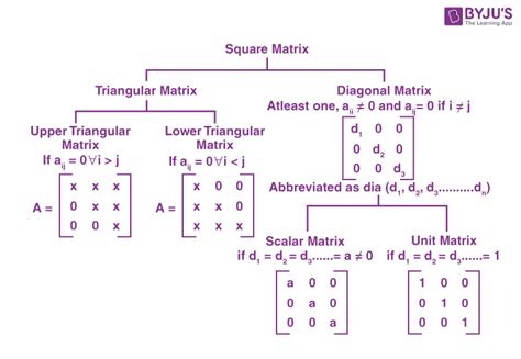 Matrices Definition | Properties | Types | Examples of Matrices