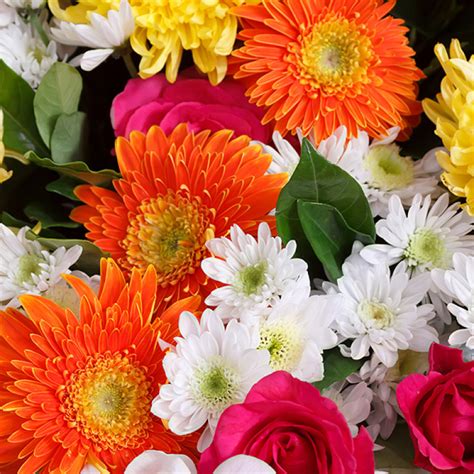 Hervey Bay Florist | Flower Delivery | Bloomers Florist